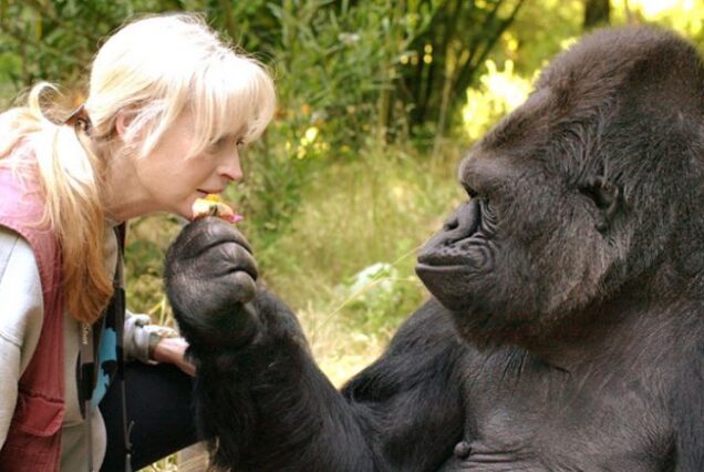 4 Days Mgahinga Gorilla & Lake Mutanda Tour