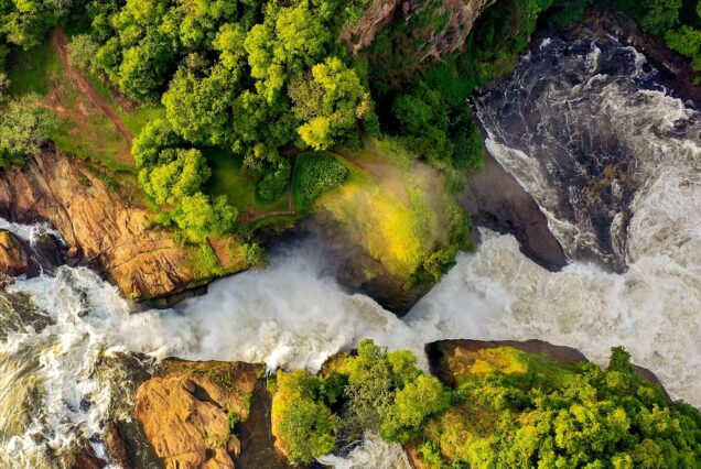 5 DAYS MURCHISON FALLS AND KIBALE NP SAFARI