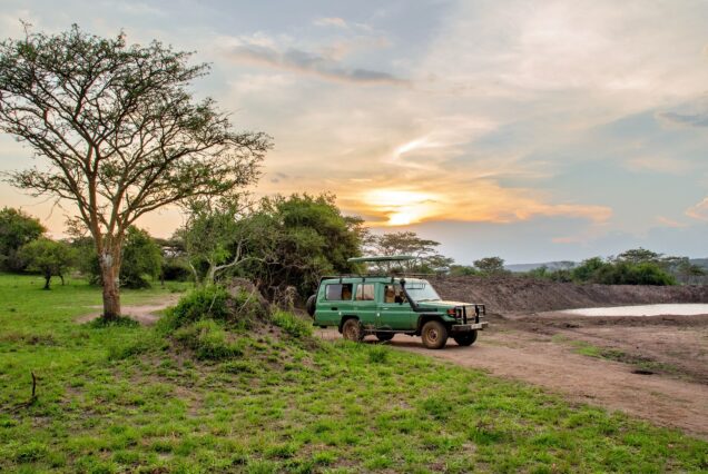 Uganda's Hidden Gems: 10-Day Off-the-Beaten-Path Safari (Luxury Getaway)