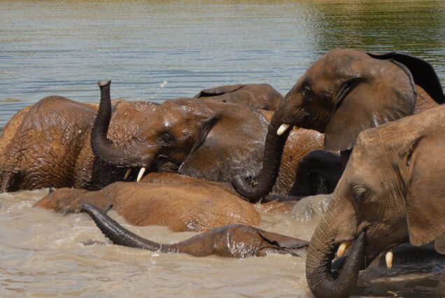 8 DAY KENYA HIGHLIGHTS 3 STAR