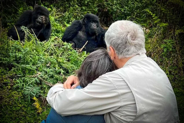 3-Day Bwindi Adventure: Mountain Gorilla Encounter